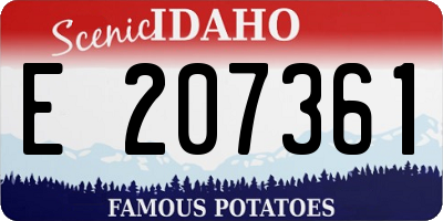 ID license plate E207361