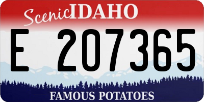 ID license plate E207365