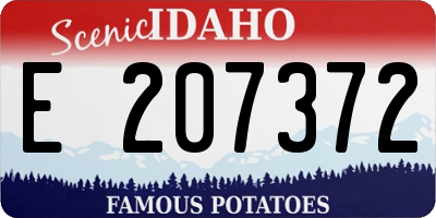 ID license plate E207372
