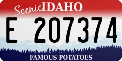 ID license plate E207374