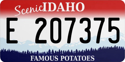 ID license plate E207375