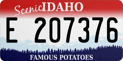 ID license plate E207376