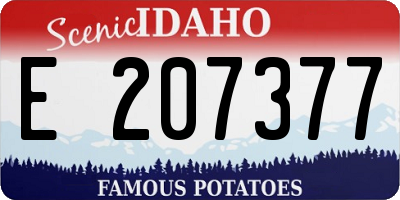 ID license plate E207377