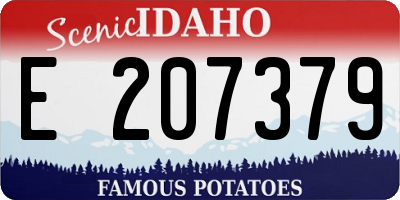 ID license plate E207379