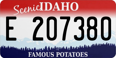 ID license plate E207380