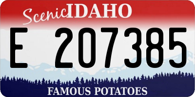 ID license plate E207385