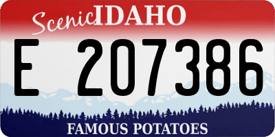ID license plate E207386