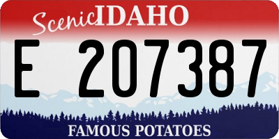 ID license plate E207387