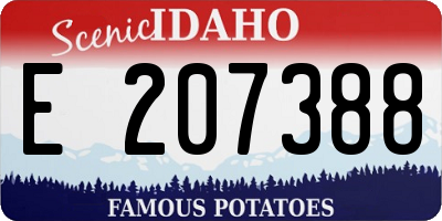ID license plate E207388