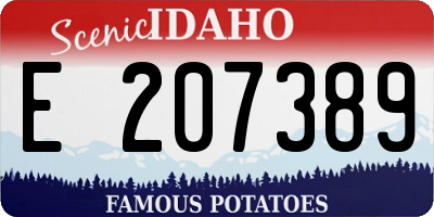ID license plate E207389