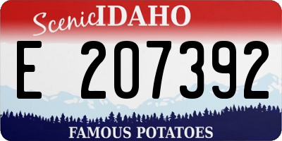 ID license plate E207392