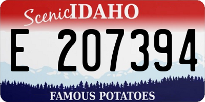 ID license plate E207394