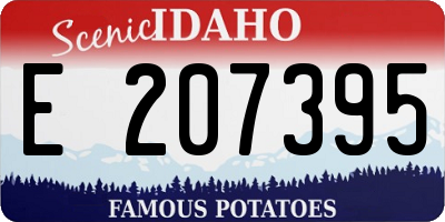 ID license plate E207395