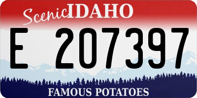 ID license plate E207397
