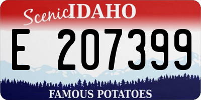 ID license plate E207399