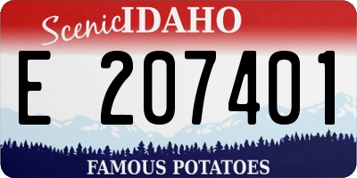 ID license plate E207401