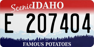 ID license plate E207404