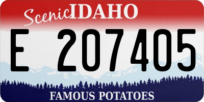 ID license plate E207405