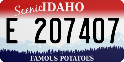 ID license plate E207407