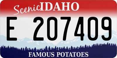 ID license plate E207409