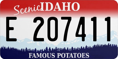ID license plate E207411