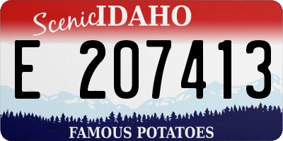 ID license plate E207413