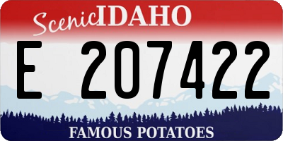 ID license plate E207422