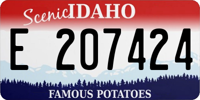 ID license plate E207424
