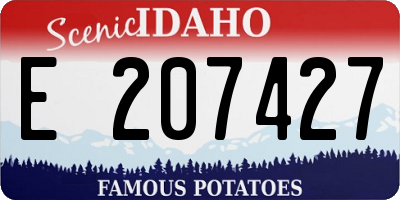 ID license plate E207427