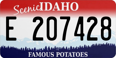 ID license plate E207428