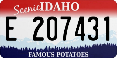 ID license plate E207431
