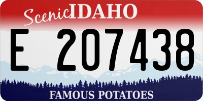 ID license plate E207438
