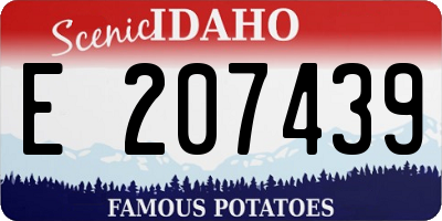 ID license plate E207439