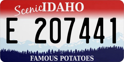 ID license plate E207441