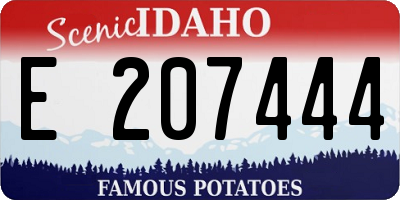 ID license plate E207444