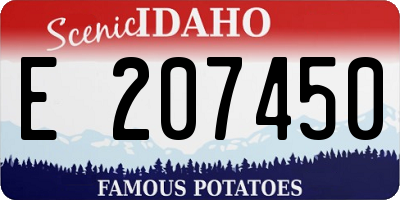 ID license plate E207450