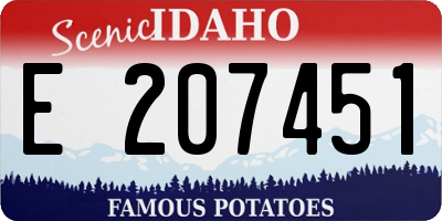 ID license plate E207451