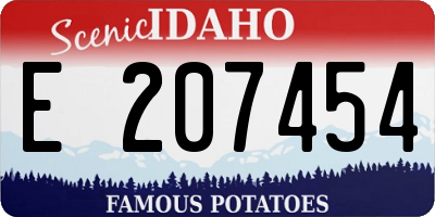 ID license plate E207454