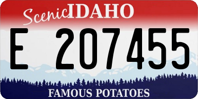 ID license plate E207455