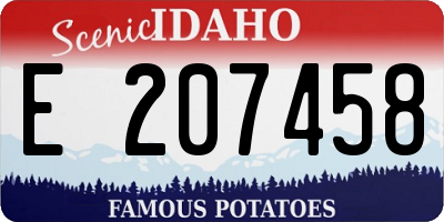 ID license plate E207458