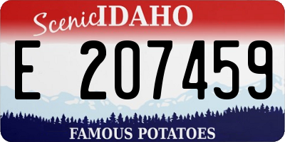 ID license plate E207459