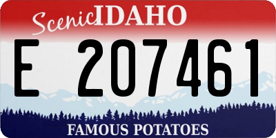 ID license plate E207461