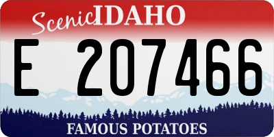 ID license plate E207466