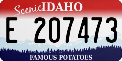ID license plate E207473