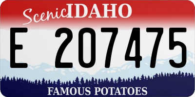 ID license plate E207475