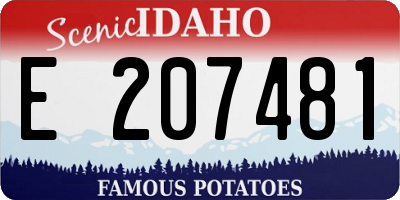 ID license plate E207481