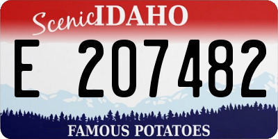 ID license plate E207482