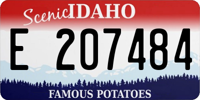 ID license plate E207484