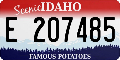 ID license plate E207485