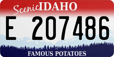 ID license plate E207486